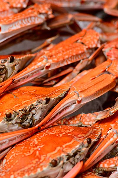 Fresh seafood is available all year round at Grunske's by the River Fresh seafood is available all year round at Grunske's by the River